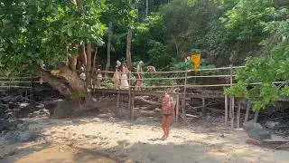 Lisa&rsquo;s monkey adventure part 2