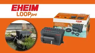 EHEIM LOOPpro 6000 - Unboxing & Installation