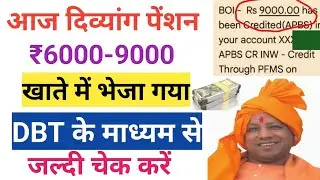 आज फिर दिव्यांग पेंशन का पैसा भेजा गया/Divyang Pension kab aaegi /Up Pension kab aaegi /Up Pension 