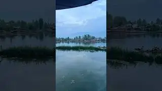 From Chaos to Calm &ndash; My Journey to Kashmir ✨ #travel #kashmir #dallake #srinagar #love #india #song