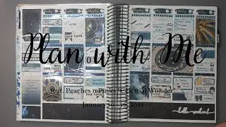 Plan with Me feat. Peaches n Pinks 