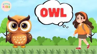 Owl Facts For Kids 🦉 Learn All About Owls | MON Kids