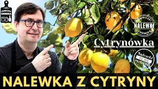 Cytryn&oacute;wka, czyli orzeźwiająca nalewka z cytryny. Jedna z moich ulubionych! Prosta i szybka