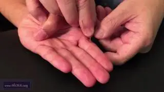 Dajian (T 11.01): Master Tung Point Location and Needling Technique in ENGLISH by Chuan-Min Wang