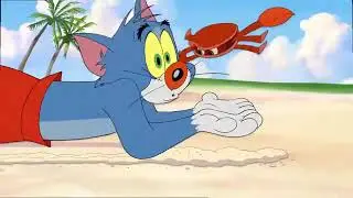 Tom and Jerry 2018 | Spy Quest Doblada + The Little Orphan | Cartoon For Kids