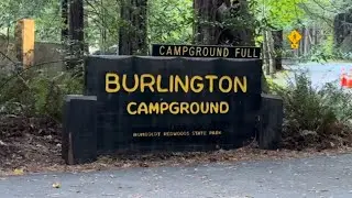 Labor Day Camping! (Humboldt, Avenue of the Giants)