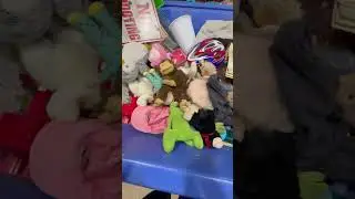 Goodwill Outlet Bins #goodwill #bins #goodwillbins #goodwilloutlet #thrift #binstore #fyp #viral