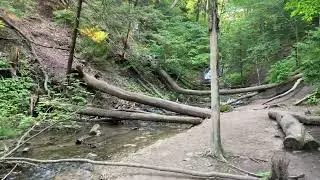 Beautiful Weaver&rsquo;s Creek Nature Trail in Ontario, Canada - 4K video