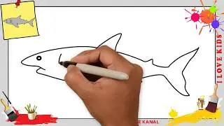 Hai zeichnen 3 schritt f&uuml;r schritt f&uuml;r anf&auml;nger & kinder - Zeichnen lernen