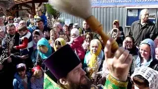 Освящение вербы. Храм апостола Фомы. 2016 04 24