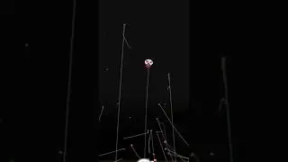 Basant Festival 🤩😍||pipa Combate||#kite #kiteflying #kitefighting #shorts