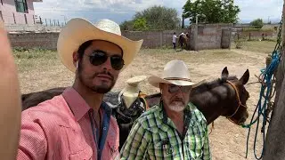 Caballos con problemas de conducta. En vivo 27