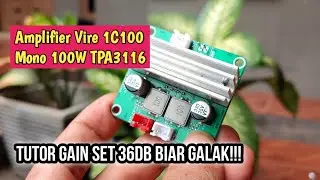 Review Amplifier Class D Mini VIRE 1C100 Mono 100W | Tutorial Gain 36db