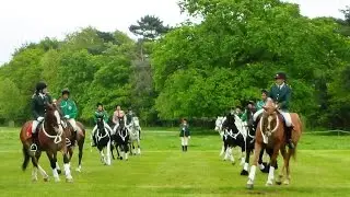 Horse Rangers Association 60th Anniversary