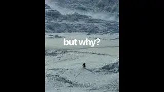 The Penguin Who Walked Away #edit #aura #meme