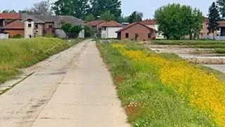Tra le risaie vercellesi...