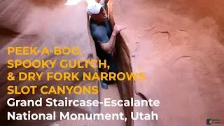 Hiking Peek-A-Boo Slot Canyon, Spooky Gulch Slot Canyon, and Dry Fork Narrows Slot Canyon
