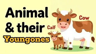 Learn Animals and Their Baby Names in English 🐾 | Animal Babies for Kids | Animated Flashcards
