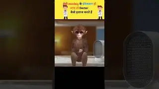 बंदर के इंफेक्शन हो जाए तो🙉||monkey gets infected#fect #asmr #shorts #viral #trending#yt @tseries