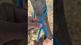 This Knot Is Absolutely Safe Realiable And Practical!