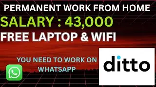 Permanent work from home Jobs | Insurance Advisory | Ditto Careers | Whatsapp Chatting Job