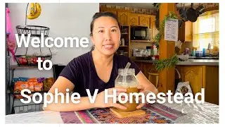 Welcome to Sophie V Homestead