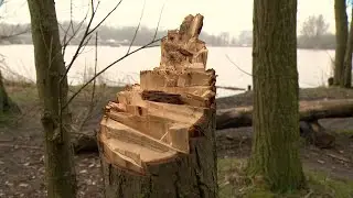 Bomen in Almeers Lumi&egrave;repark vernield, gemeente doet aangifte