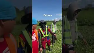 Dakong baksan
