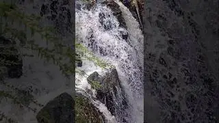 Severn - Break-its-Neck Falls #waterfalls #hafrenforest #riversounds #wales