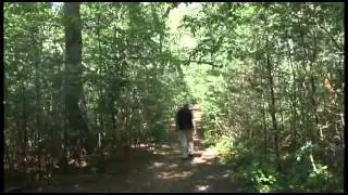DNRT Destruction Brook Woods