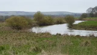 Pulborough Brooks Wetland Walk Scenery - West Sussex Walks - Tour England Walking Holidays UK