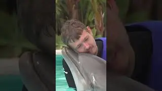 I love Dolphins! Amazing dolphin hug! [The Creator] 🐬💕🤩❤️