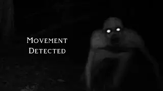 &ldquo;Movement Detected&rdquo; by Erutious &mdash; Creepypasta Reading