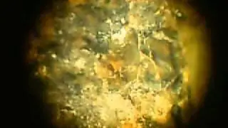 Stein vom Mars (Marsmeteorit)