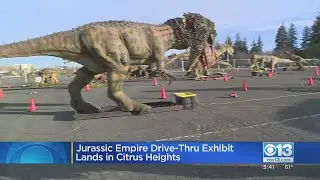Jurassic Empire Drive-Thru Exhibit In Citrus Heights