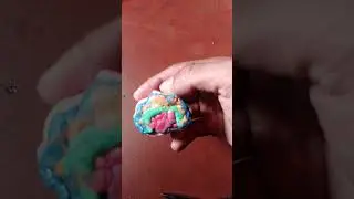 desarrollo embrionario de un equinodermo