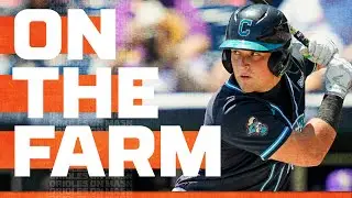 Getting to know elite college catcher and new Oriole Caden Bodine