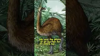 Extinct Facts #31