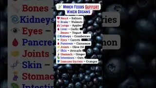 🌿 Which Food Supports Which Organ