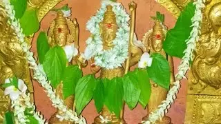 02-02-2026 సోమవారం శ్రీ సీతారామలక్ష్మణఆంజనేయస్వామి అభిషేకం పూజ కందుకూరు గ్రామం is live!