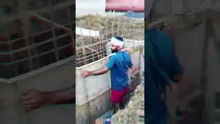 #consterction ,#short, #vlog ,#number ,7