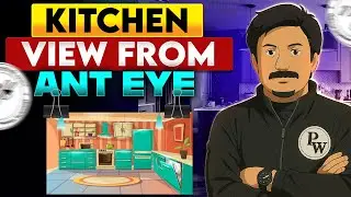 Ant Eye View of a Kitchen | Unique Perspective Drawing Guide