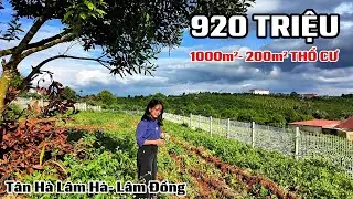 Cần tiền ăn Tết, chủ nhà GIẢM GIÁ sâu. Chỉ 920tr cho 1000m².
