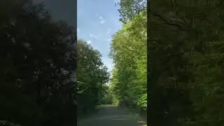 Красивая дорога в Бельгии. Road in Belgium.