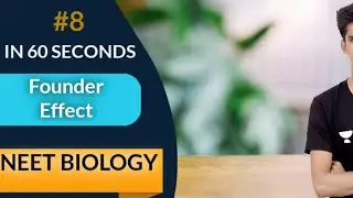 #shorts |Founder Effect Revision|founder effect evolution|NEET Biology shorts|biology revision|