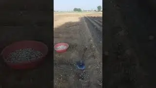 #Punjabi song #jattlife #farming #doaba belt #haryanvisong