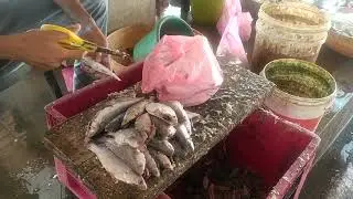 Scissors fish cutting & cleaning, Moodbidri Mangalore 👍