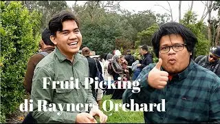 JB Jalan - Rayners Orchard Melbourne | Fruit picking