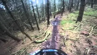 Caberston Forest MTB (The Golfies) - Aussie Rules (with crash) - 27/2/2016