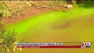 Reedy River turns green